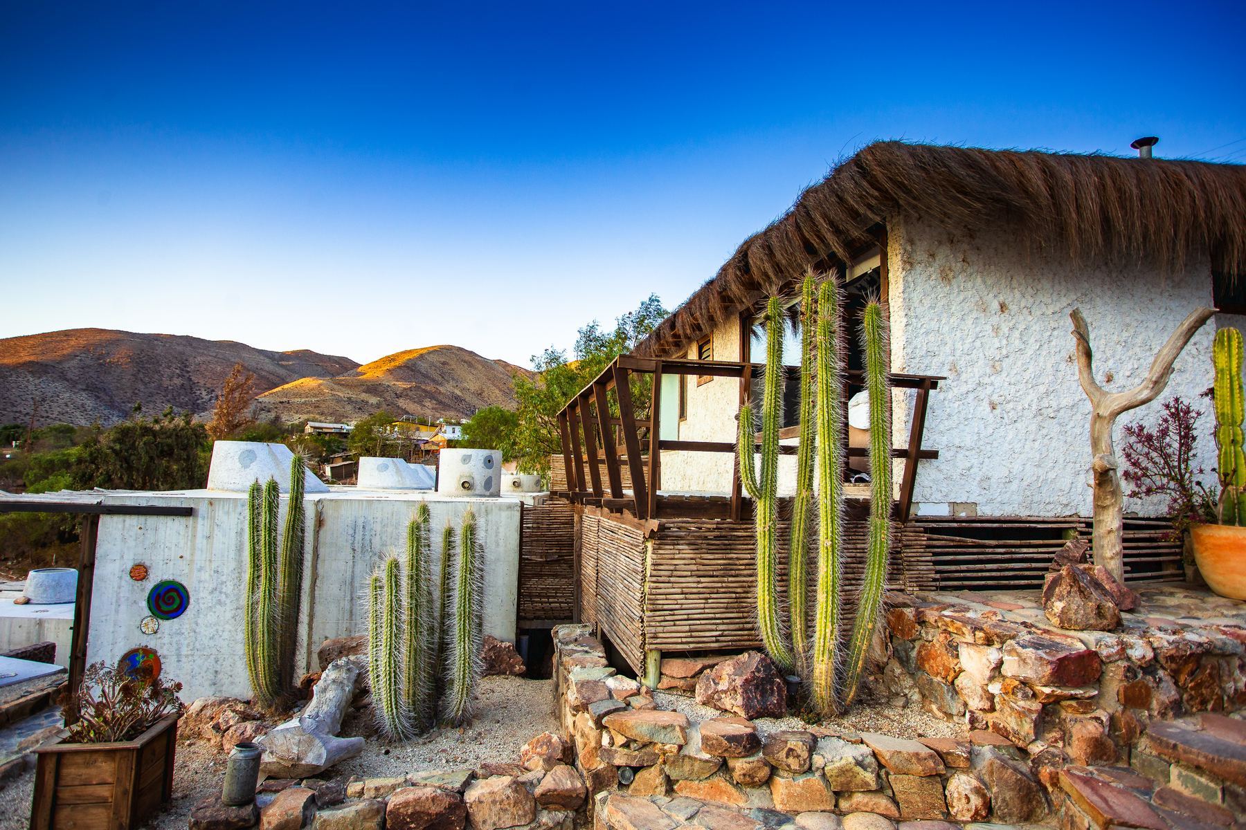 Arquitectura de piedra y cactus de Hotel Puclaro